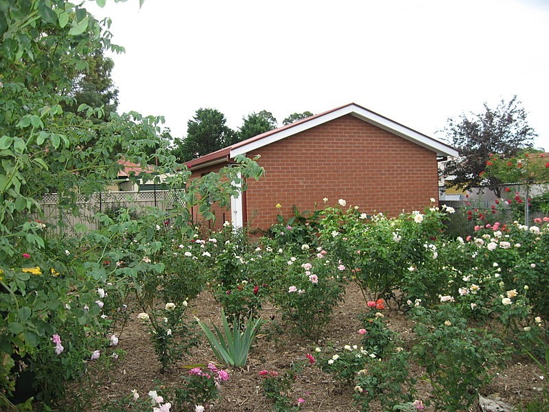 24 Victoria Street, Parkes NSW 2870