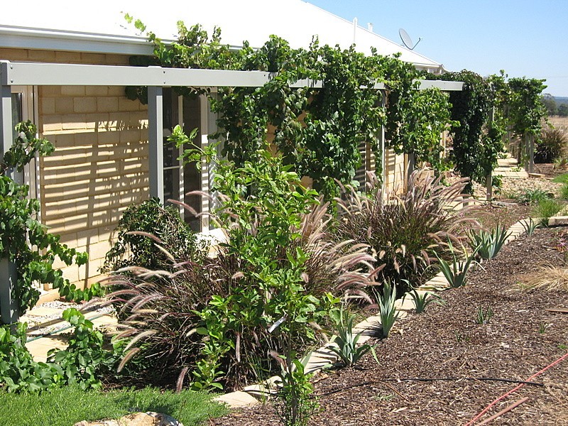 Lot 1 No Mistake Lane, Parkes NSW 2870