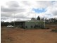Lot 2223 Reedy Creek Road, Parkes NSW 2870