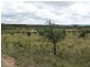 Lot 2223 Reedy Creek Road, Parkes NSW 2870