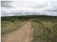 Lot 2223 Reedy Creek Road, Parkes NSW 2870