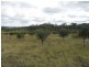 Lot 2223 Reedy Creek Road, Parkes NSW 2870