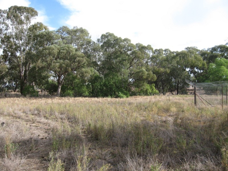 Cookamidgera NSW 2870