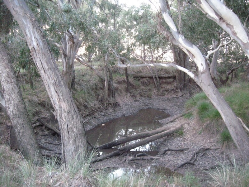 Lot 400 Watts Lane, Tichborne NSW 2870
