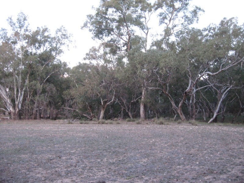 Lot 400 Watts Lane, Tichborne NSW 2870