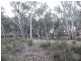 Lot 400 Watts Lane, Tichborne NSW 2870