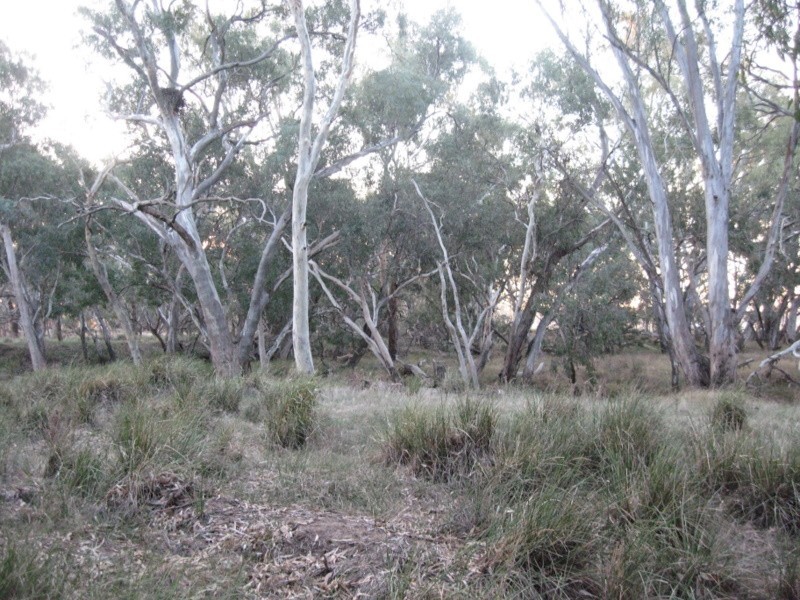 Lot 400 Watts Lane, Tichborne NSW 2870