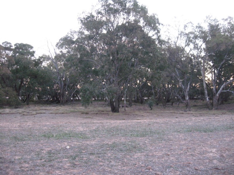 Lot 400 Watts Lane, Tichborne NSW 2870