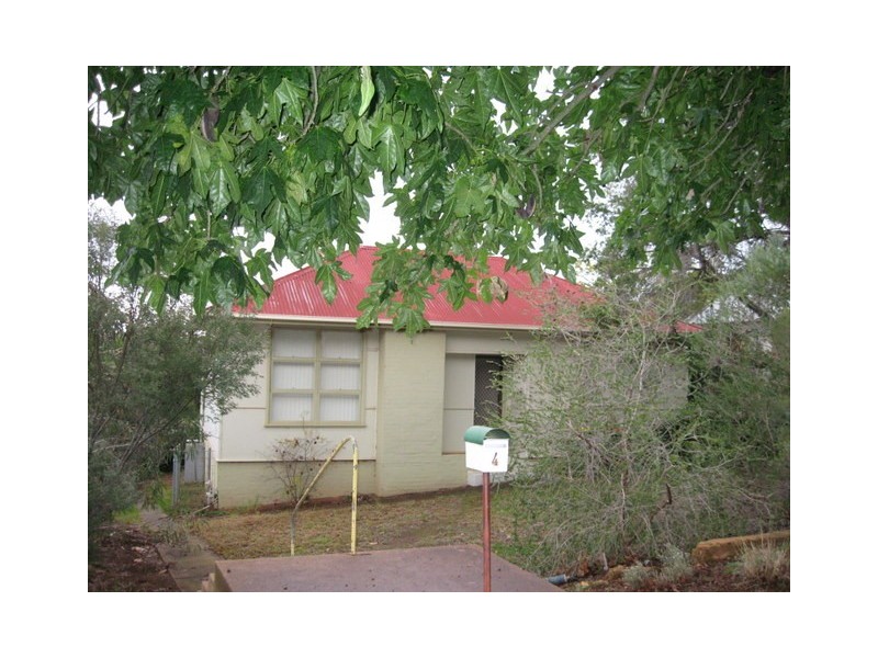 4 Charles Rigg Avenue, Parkes NSW 2870