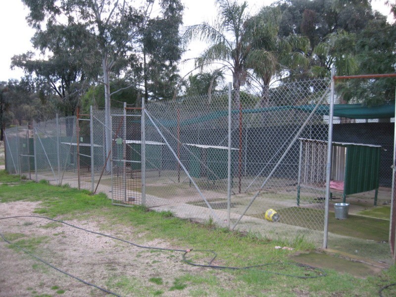 Cookamidgera NSW 2870