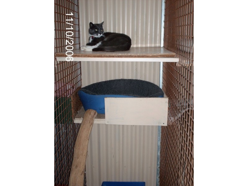 Cookamidgera NSW 2870