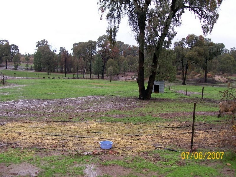 Cookamidgera NSW 2870