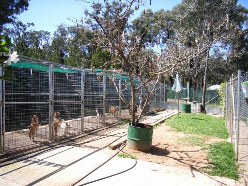 Cookamidgera NSW 2870