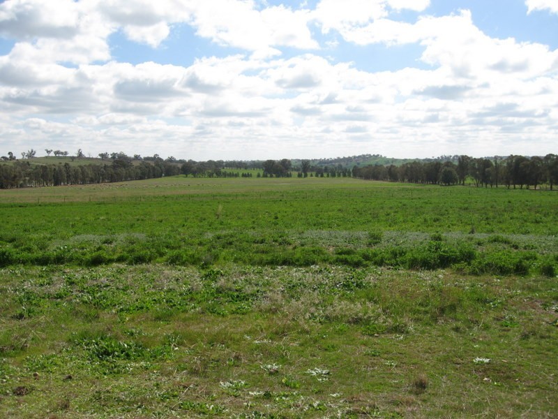 ‘Linden’ Bogan Road, Parkes NSW 2870