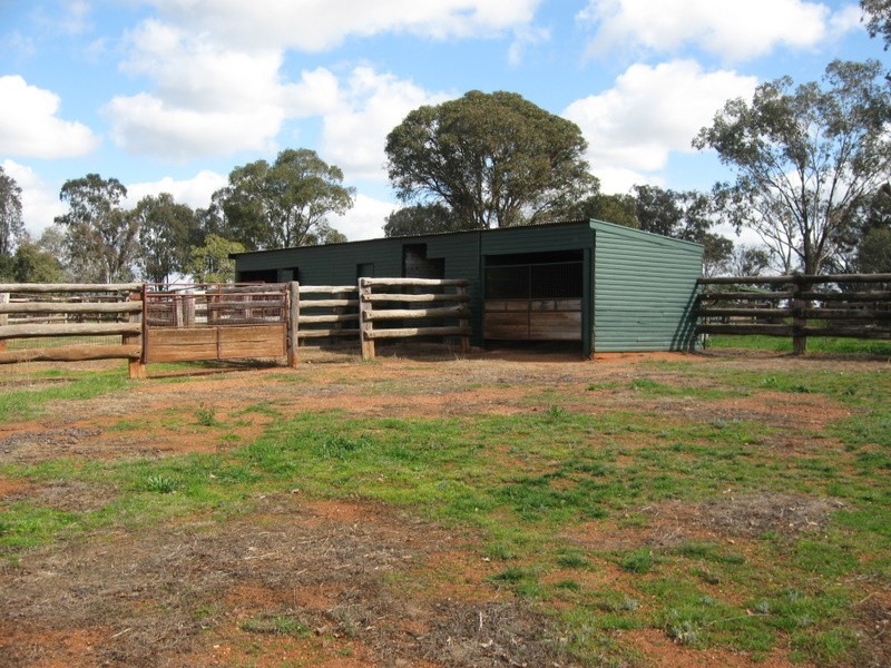 ‘Linden’ Bogan Road, Parkes NSW 2870