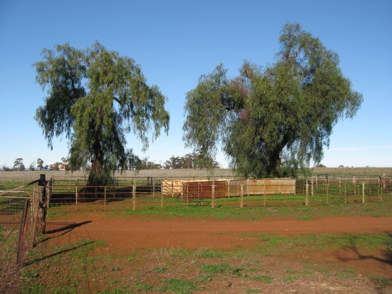 ‘Linden’ Bogan Road, Parkes NSW 2870