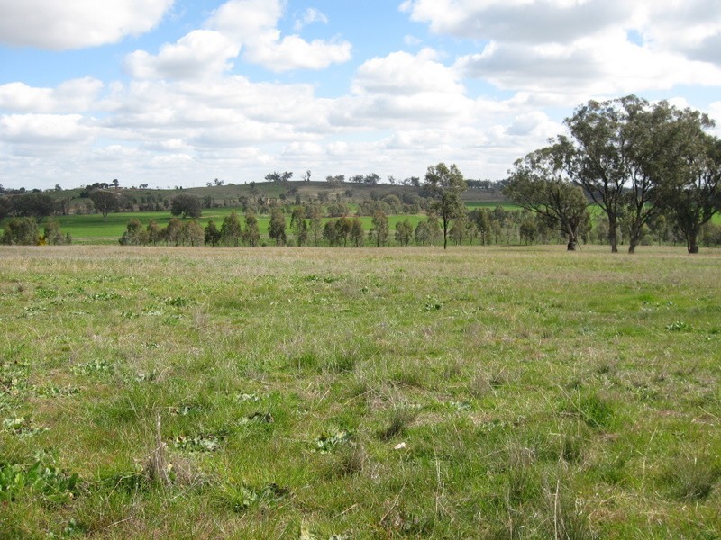 ‘Linden’ Bogan Road, Parkes NSW 2870