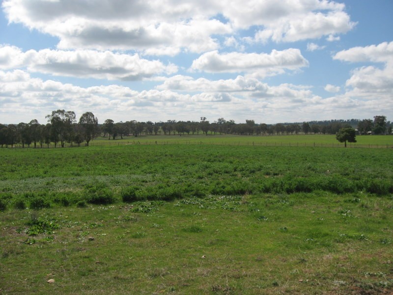 ‘Linden’ Bogan Road, Parkes NSW 2870