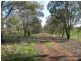 ‘Linden’ Bogan Road, Parkes NSW 2870
