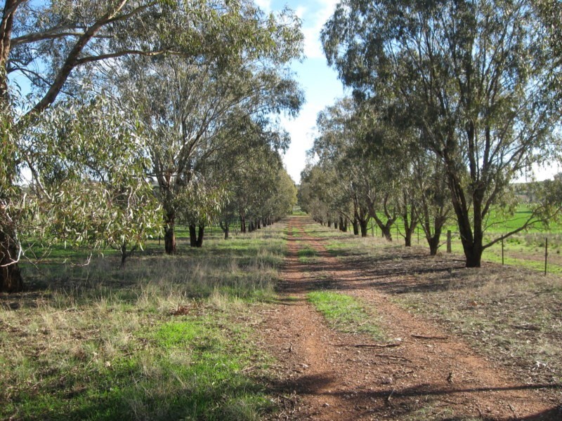 ‘Linden’ Bogan Road, Parkes NSW 2870