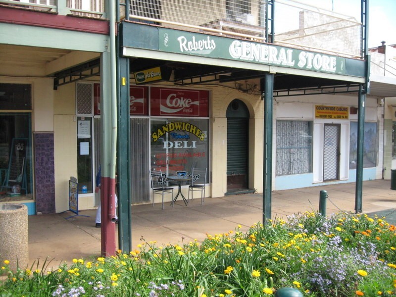 84 Caswell Street, Peak Hill NSW 2869