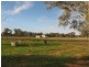Peak Hill NSW 2869
