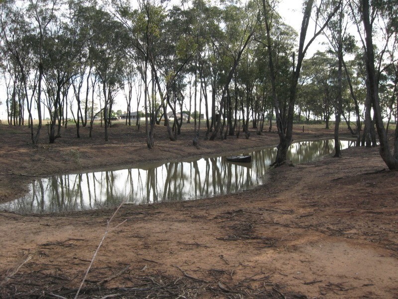 Peak Hill NSW 2869