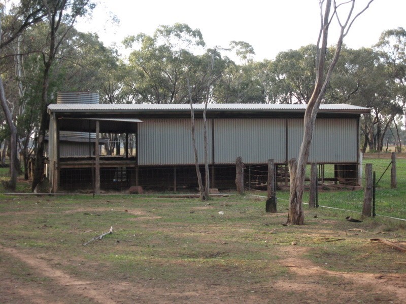 Peak Hill NSW 2869