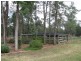 Lot 185 Back Fifield Road, Trundle NSW 2875