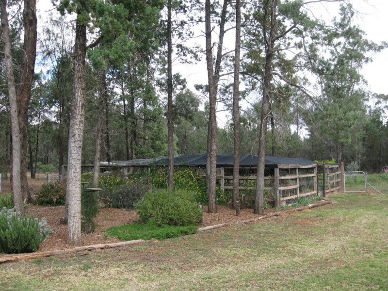 Lot 185 Back Fifield Road, Trundle NSW 2875