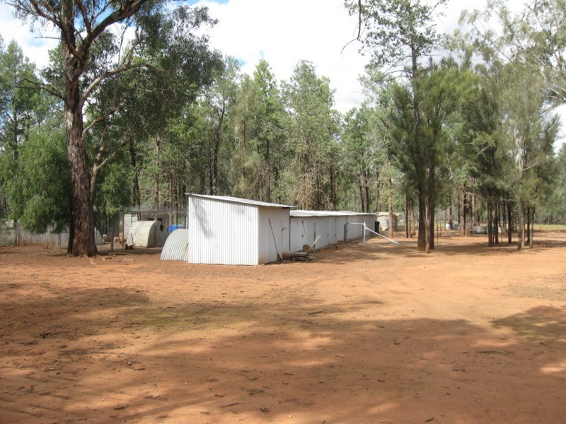 Lot 185 Back Fifield Road, Trundle NSW 2875