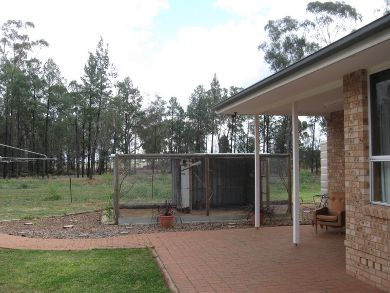 Lot 185 Back Fifield Road, Trundle NSW 2875