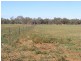 Lot 1 Parkes Road, Condobolin NSW 2877