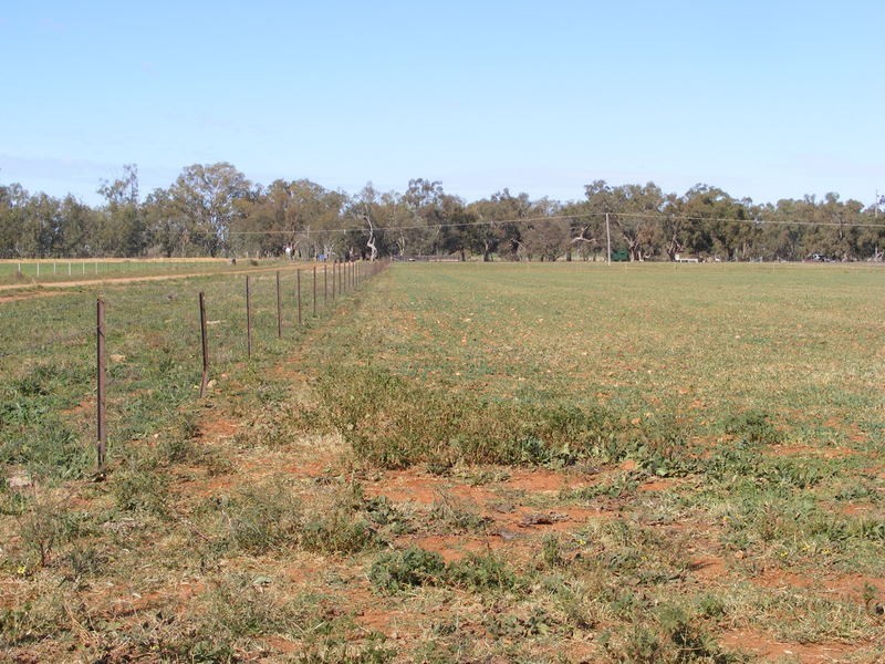Lot 1 Parkes Road, Condobolin NSW 2877