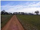 Lot 1 Parkes Road, Condobolin NSW 2877