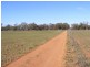 Lot 1 Parkes Road, Condobolin NSW 2877