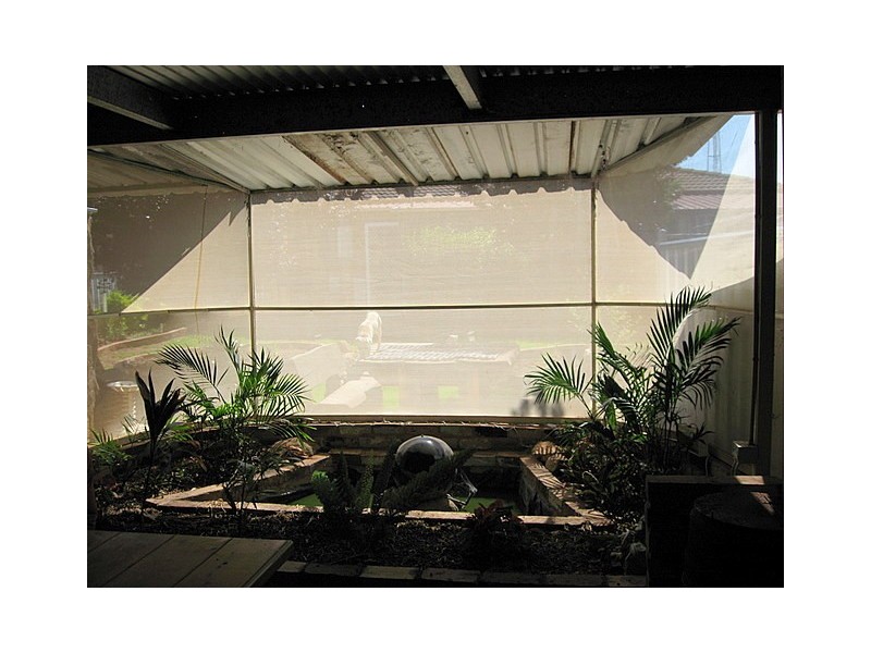 20 Derribong Street, Peak Hill NSW 2869