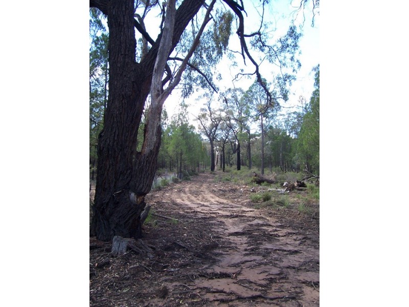 Parkes NSW 2870