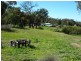 Parkes NSW 2870