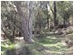 Parkes NSW 2870