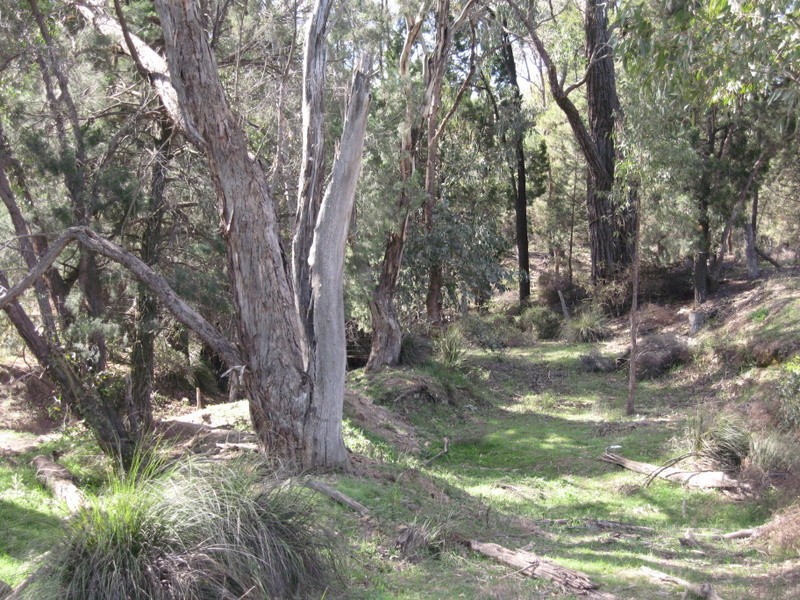 Parkes NSW 2870