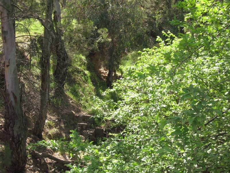 Parkes NSW 2870
