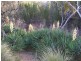 Parkes NSW 2870