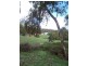 Parkes NSW 2870