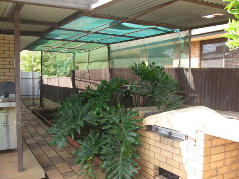 31 Webb Street, Parkes NSW 2870