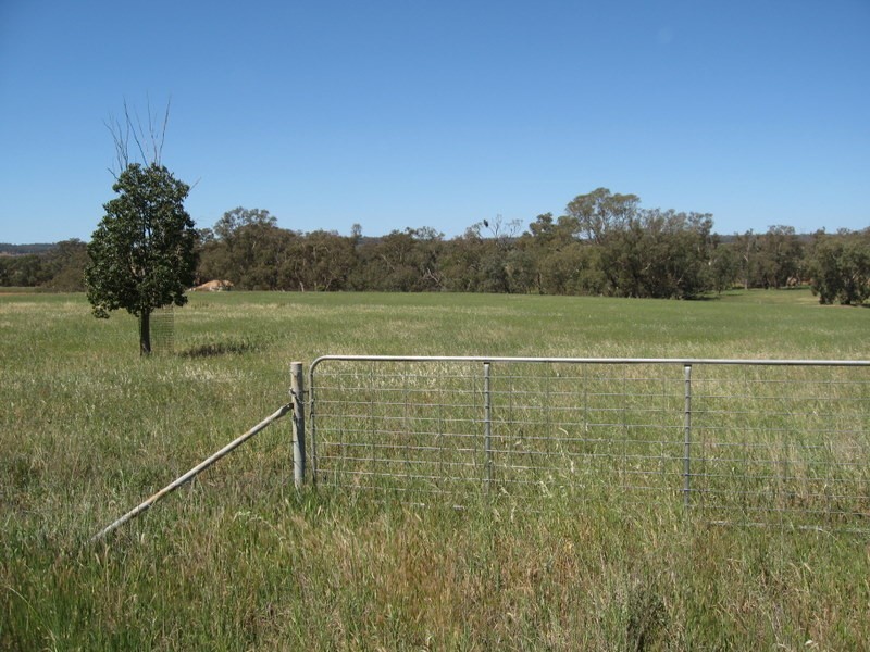 Lot 1 Tanks Lane, Parkes NSW 2870