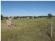 Lot 1 Tanks Lane, Parkes NSW 2870