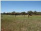 Lot 2 Tanks Lane, Parkes NSW 2870