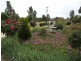 227 Nash Street, Parkes NSW 2870