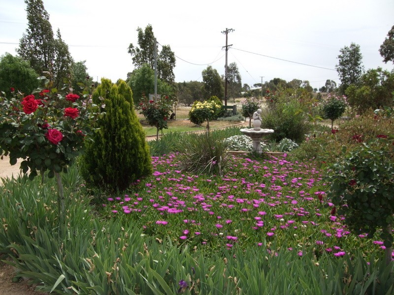 227 Nash Street, Parkes NSW 2870